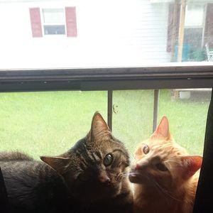 Meet your Posher, Pamela